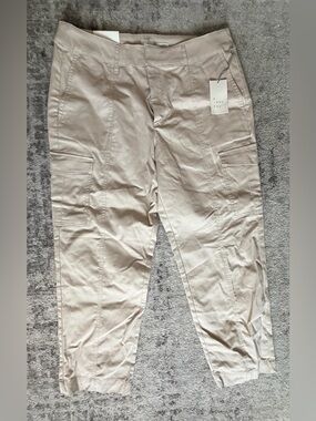 NWT A NEW DAY CARGO PANTS